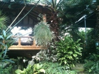 블루베리테마식물원