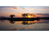 영산강5경나주평야 동섬