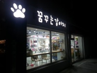 꿈꾸는강아지