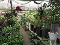 온천수림식물농장