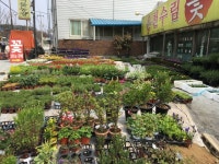 온천수림식물농장