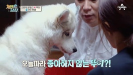 뚜이가 제일 좋아하는 개터파크 개장! 그러나 영 심드렁한 뚜이?! | ZUM TV