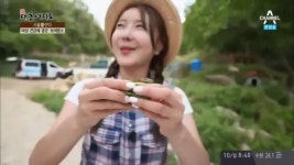 동물들이 행복해하는 방목농장 핵심비법 | ZUM TV