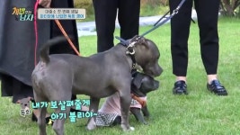 친절한 독희씨?! 아기 강아지 보살펴주는 독희!!♥ | ZUM TV