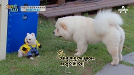 멍식당 다시 오픈~ 저녁식사 준비! #짜장면에_고기_추가♡ | ZUM TV
