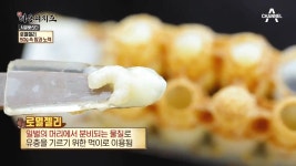 양봉으로 억대 연봉버는 아주 특별한★ 양봉 비법! | ZUM TV