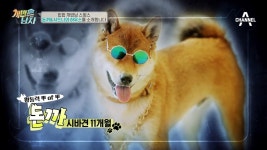 (스웩-☆) 세입자(?) 스윙스s 하우스 大 공개 (ft.집주인 = 시바견과 불독!) | ZUM TV