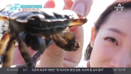 [환경] 생태관광의 최고봉! 망둥어 잡으러~ ♬ 안산 대부도로 떠나볼까? #탄도바닷길 #누에섬 | ZUM TV