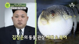 사자&복어상 김정은 관상에 숨은 비밀은?! #트럼프_시진핑_관상 | ZUM TV