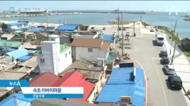 “이번엔 고향 가려나”…설레임 감추는 아바이마을 | ZUM TV