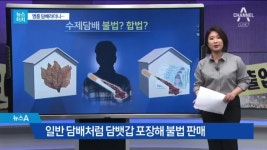 [뉴스터치]‘명품 수제담배’라더니 유해성분 100배 | ZUM TV
