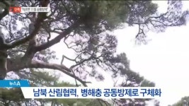 [단독]“이르면 11월 남북 공동방제”…산림협력 물살 | ZUM TV
