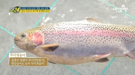 새벽부터 매표 대기줄 1열 사수! 급이 다른 무지개 빛 평창 송어☆ | ZUM TV