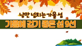 낭만 넘치는 가을 섬…‘가을에 걷기 좋은 섬 9선’ | ZUM TV