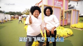 [예고] 서울 근교로 떠나는 가을 소풍! | ZUM TV