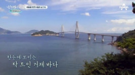 한 폭의 그림같은 비밀의 섬 저도! | ZUM TV