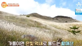 합천 황매산의 명물 하금계곡&밤의 大변신 율피 요리 | ZUM TV