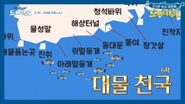 (기대감 폭발) 오늘의 결전지는 *6짜* 대물이 나오는 감성돔의 성지, 멀둥개! | ZUM TV