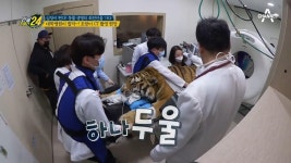 잠들었어도 호랑이는 호랑이... 대학병원 뒤집어 놓은 CT촬영 현장! | ZUM TV