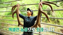 [예고] 사슴으로 부자 된 남자? 특별한 농장으로 초대합니다 | ZUM TV