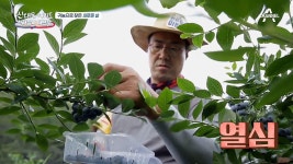 귀농의 메카, 종생마을?! 살기 좋은 마을에 여럿이 모였다는데?! | ZUM TV