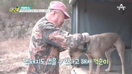 멧돼지 몰이 전문, 멧돼지 사냥에서 드러나는 엽견들의 실력! | ZUM TV