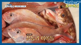 ★미모 절정 참돔과 아이들★ 참돔 한상, 2021년 새해 첫 저녁 만찬 | ZUM TV