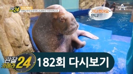 수족관은 내가 책임진다★ 프로 동물 교감러 아쿠아리스트의 하루 | ZUM TV