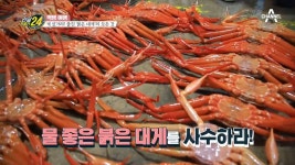 후포리 붉은 대게의 치명적인 비주얼! 물 좋은 게는 따로 있다? | ZUM TV