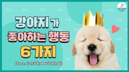 강아지한테 사랑받는 방법 | ZUM TV