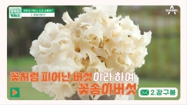 꽃배달 왔습니다♥ 꽃처럼 예쁘지만 효능까지 엑셀런트한 꽃송이버섯! | ZUM TV