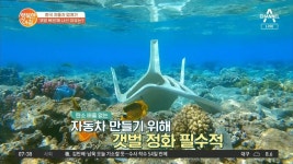 [차차차] 자동차 업계가 갯벌 복원에 나선 이유! ※블루 카본 프로젝트※ | ZUM TV [차차차] 자동차 업계가 갯벌 복원에 나선 이유! ※블루... 