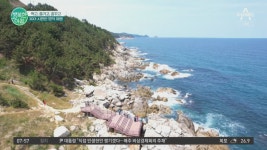 ▶올 여름엔 시원한 영덕 여행◀ 먹고, 즐기고, 꿈구고! 영덕으로 떠나자~ | ZUM TV