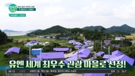 신안 최고 ★핫플★ 동화 같은 보랏빛마을 퍼플섬 | ZUM TV