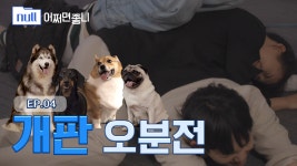 개판 오분전 | [null어쩌면좋니 EP. 04] | ZUM TV