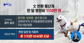 [핫플]文 반환 풍산개 ‘곰이·송강’, 한 달 병원비 1110만 원 | ZUM TV