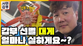 [선공개] ★대게듀스 101★ 포항 구룡포에서 매일 대게 오디션이 열린다?! | ZUM TV