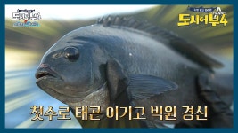 왜 이렇게 커?! 빅원 경신한 박 프로 벵에돔★ | ZUM TV