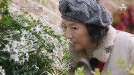 ♨국내 최초의♨ 허브 농원에 찾아온 국민 엄마 두심! 100여 종의 허브와 꽃내음을 느끼며 평창의 봄을 찾다♪ | ZUM TV