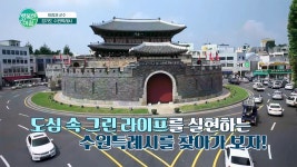 자연과 사람이 공존하는 친환경 생태문화 도시 수원! 차 없는 거리 행리단길부터 도심 속 자연 일월수목원까지! #경기도 #수원특례시 | ZUM TV