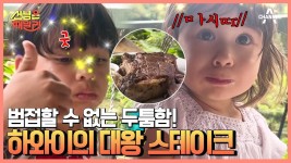 ※침샘 주의※ 미국 고기는 때깔(?)부터 다르다?! 열대우림에서 즐기는 대왕 스테이크! | ZUM TV