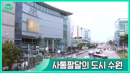 사통팔달의 도시 수원 | ZUM TV