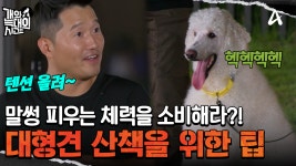 보호자 주도로 산책하는 법! 강형욱이 알려주는 대형견 산책 꿀팁?! | ZUM TV