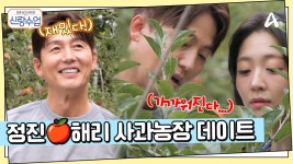 온 세상이 사과 향기로 가득... 정진♥해리 사과 농장 데이트 | ZUM TV