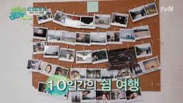 여행해도 괜찮아 in 아일랜드 | ZUM TV