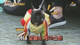 만물트럭 출연 자원한 들 대거 등장 | ZUM TV