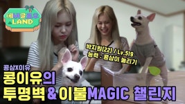 [이유의 러브 하우스] 이유있는 천재견 콩삼이의 투명벽 & 순간이동 챌린지 | ZUM TV