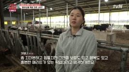 직장 나온 세 자매, 제주도에 목장 차린 사연? | ZUM TV