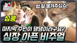 멍멍! 멍멍멍!(=대충 댕댕이 귀엽다는 뜻) 원형 마을에 등장한 마지막 참가자..? | #소사이어티게임2 | CJ ENM 170901 방송 | ZUM TV