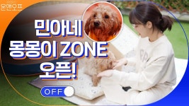 민아네 몽몽이ZONE 오픈! 몽몽이는 좋겠다.. 엄마가 이런 것도 만들어주구.. | tvN 201114 방송 | ZUM TV